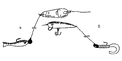 Морская рыбалка